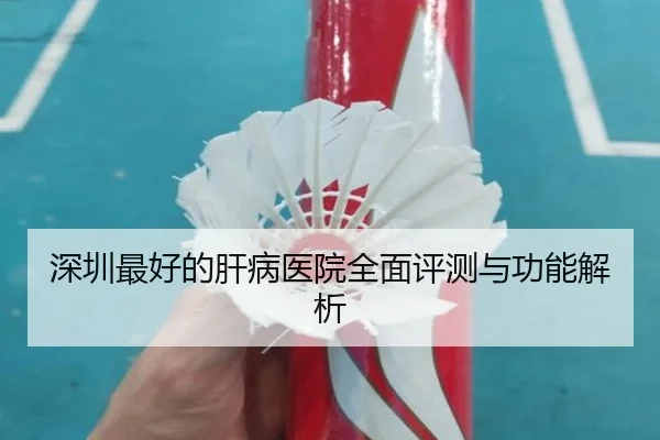 深圳最好的肝病医院全面评测与功能解析