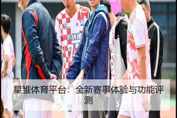 星雏体育平台：全新赛事体验与功能评测